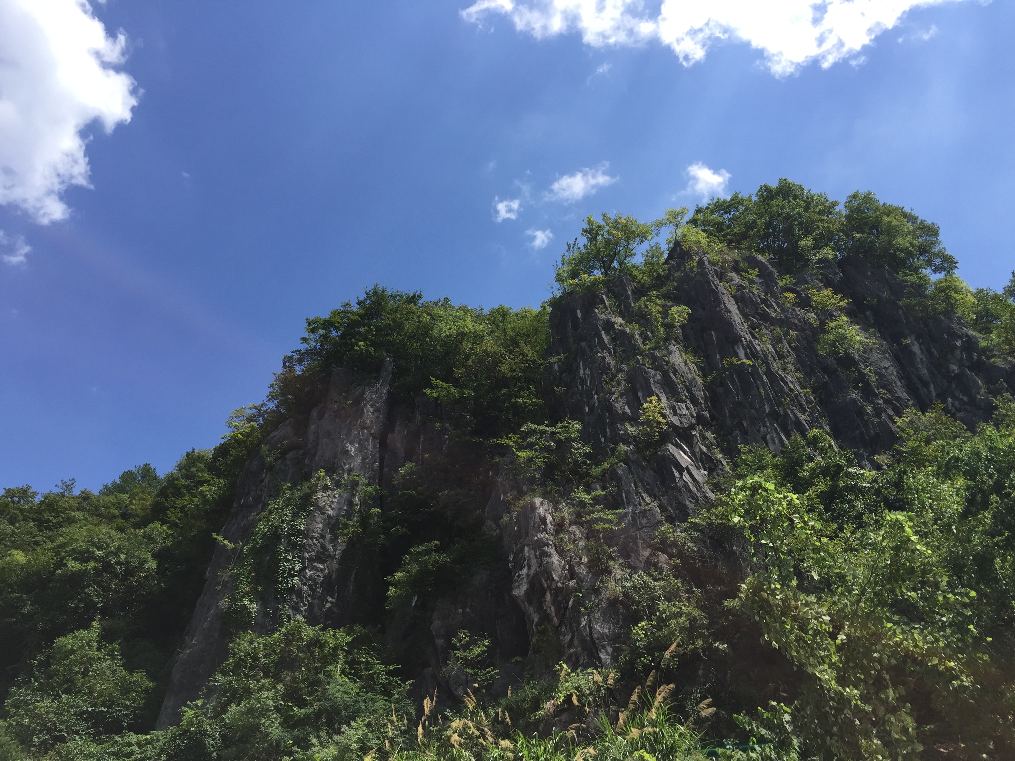 宣城宁国板桥自然保护区