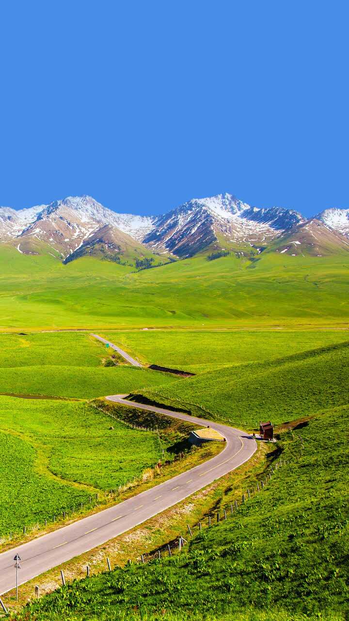 蒙古风情背景图图片