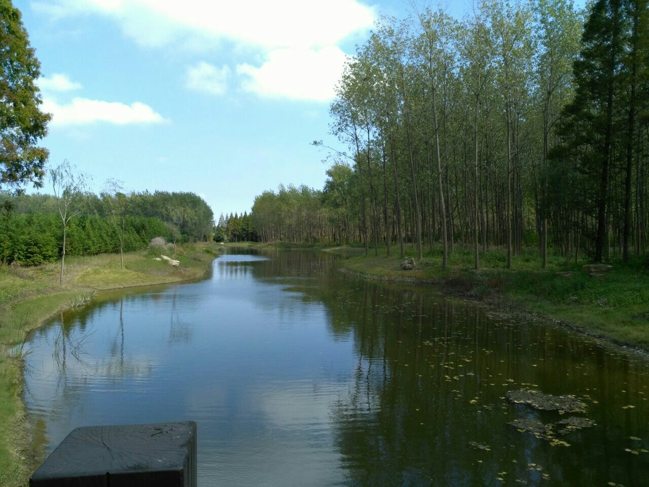 2023黄海森林公园游玩攻略,希望以后增加多一些景点,现.