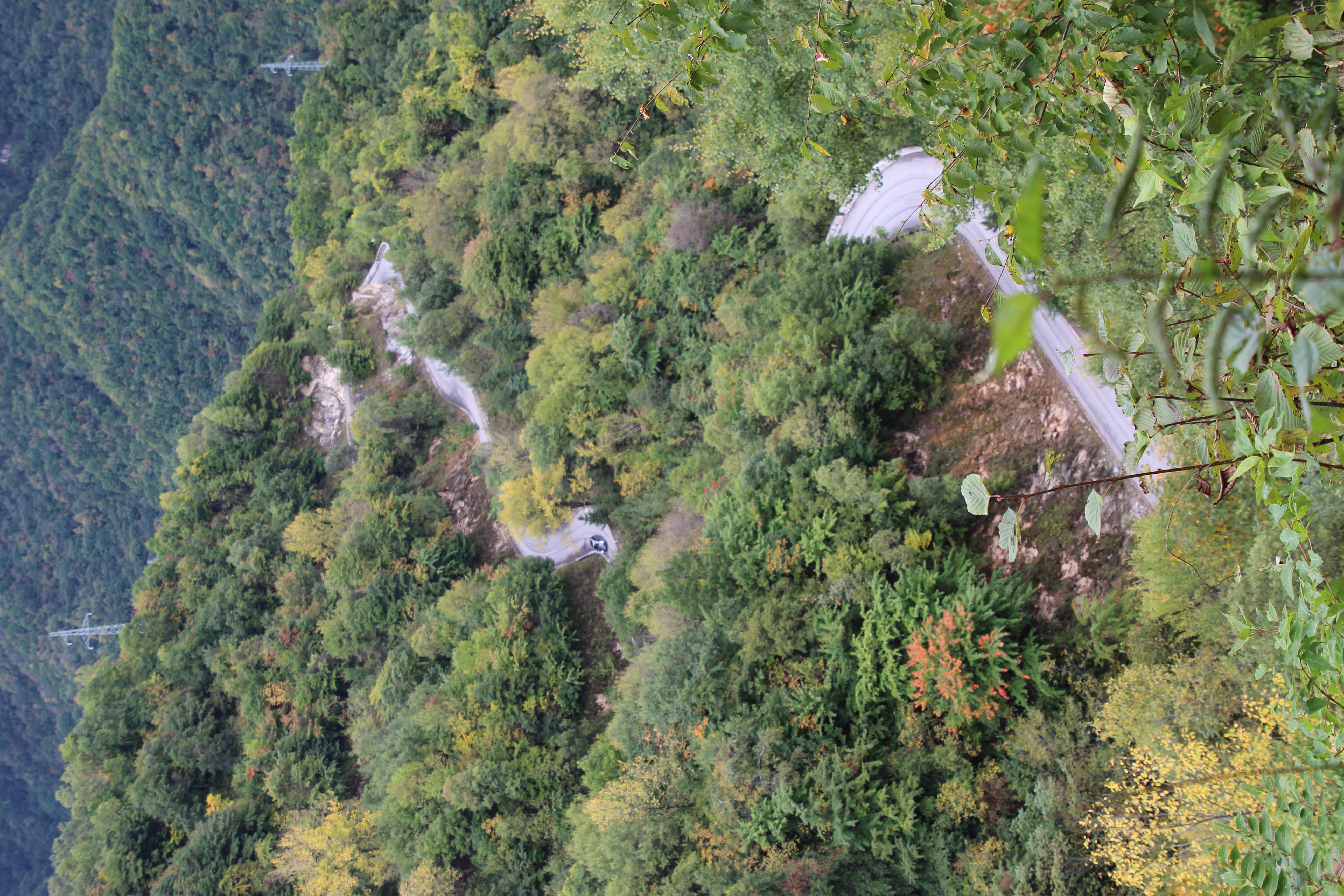 作为留坝县最高的紫柏山不仅秋日里有着醉美的叶色……