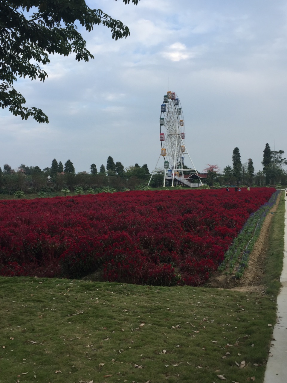 梦里水乡百花园图片图片