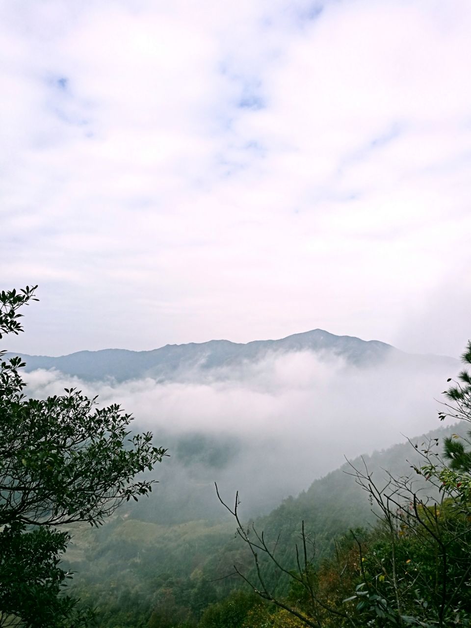 連山清遠金子山原生態旅遊風景區好玩嗎,連山清遠金子山原生態旅遊