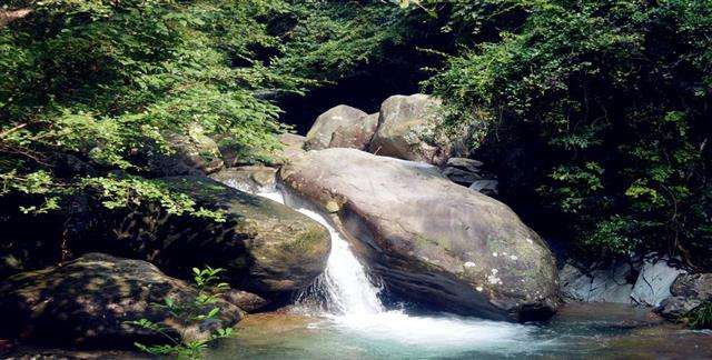 武宁神雾山攻略,武宁神雾山门票/游玩攻略/地址/图片/门票价格【携程