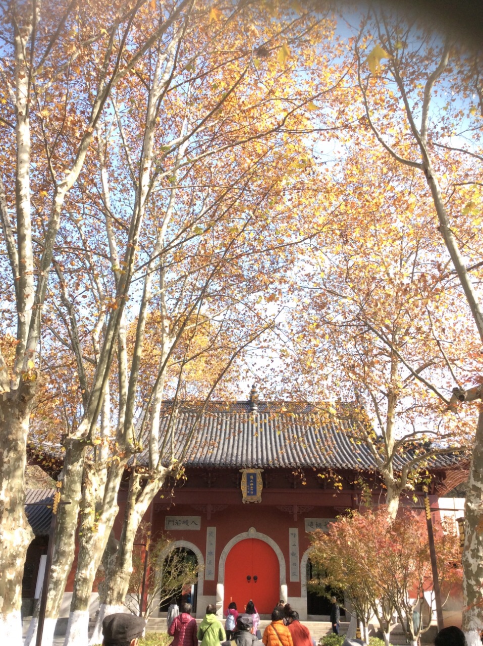 棲霞寺