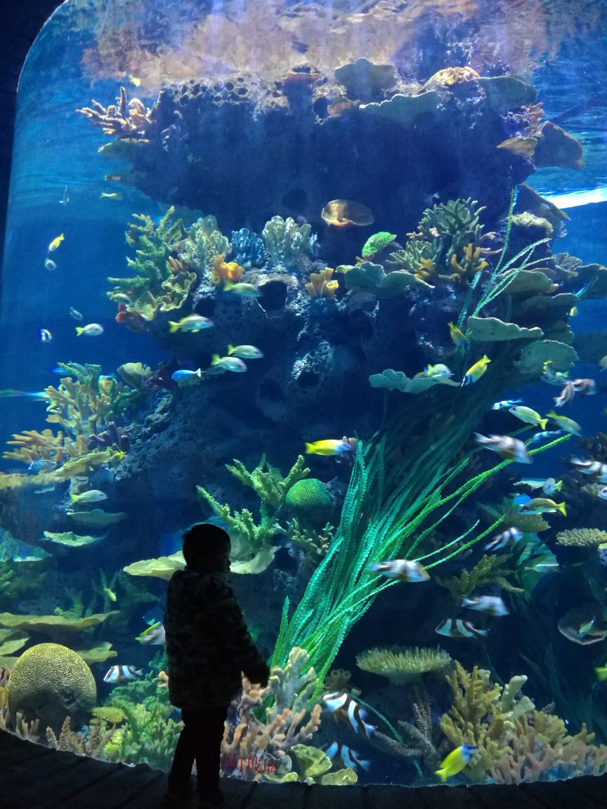 多彩贵州城极地海洋世界