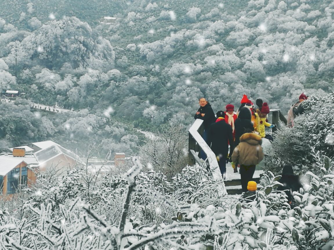 金佛山北坡图片图片