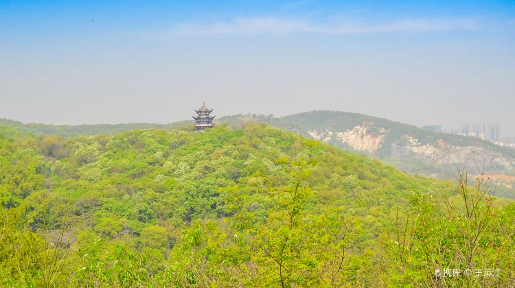 鎮江南山攻略-南山門票價格多少錢-團購票價預定優惠-景點地址圖片