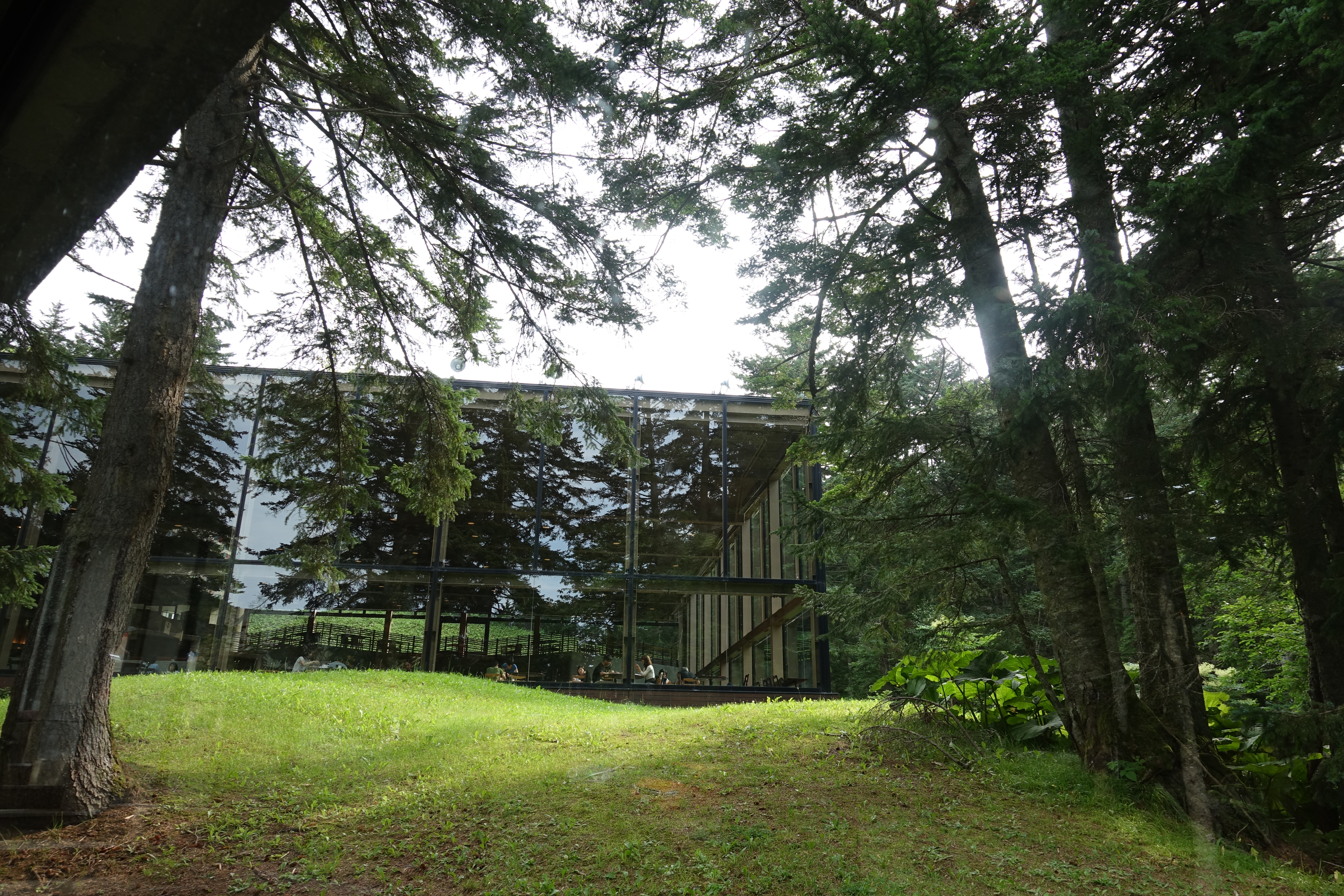 星野tomamu度假村