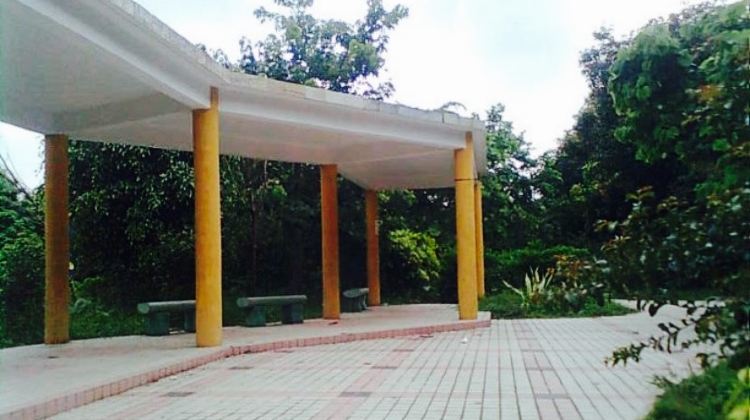 广州大围公园攻略-大围公园门票价格多少钱-团购票价预定优惠-景点