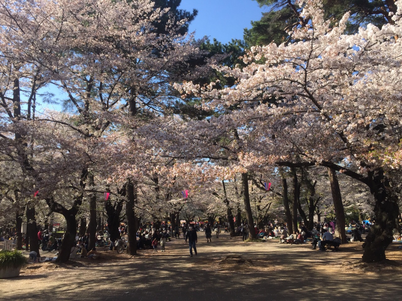 2019大宮第二公園_旅遊攻略_門票_地址_遊記點評,埼玉市旅遊景點推薦