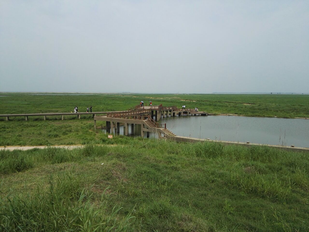 鄱陽湖國家溼地公園