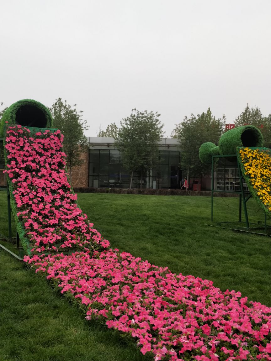 2019北京國際鮮花港_旅遊攻略_門票_地址_遊記點評,順義旅遊景點推薦