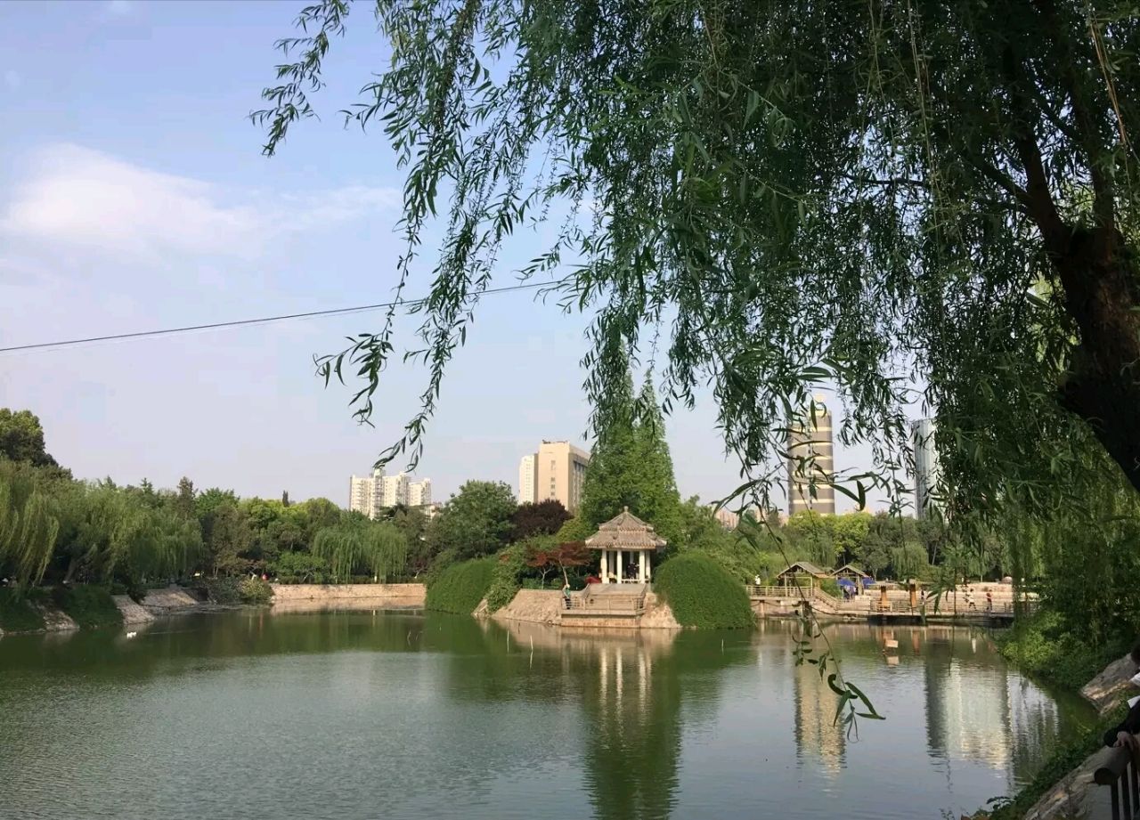 2020紫荆山公园-旅游攻略-门票-地址-问答-游记点评，郑州旅游旅游景点推荐-去哪儿攻略