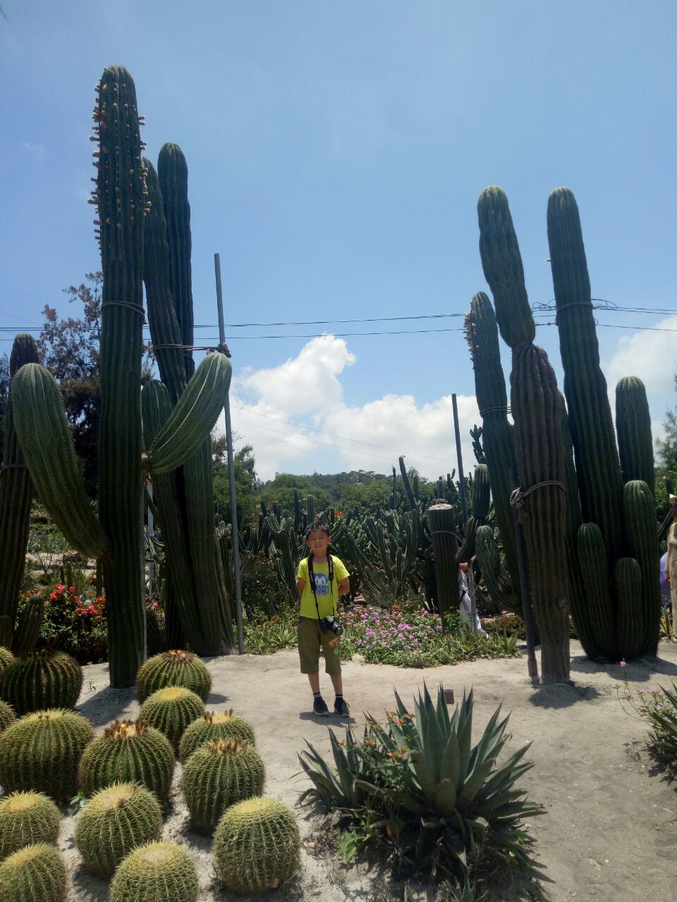 廈門園林植物園