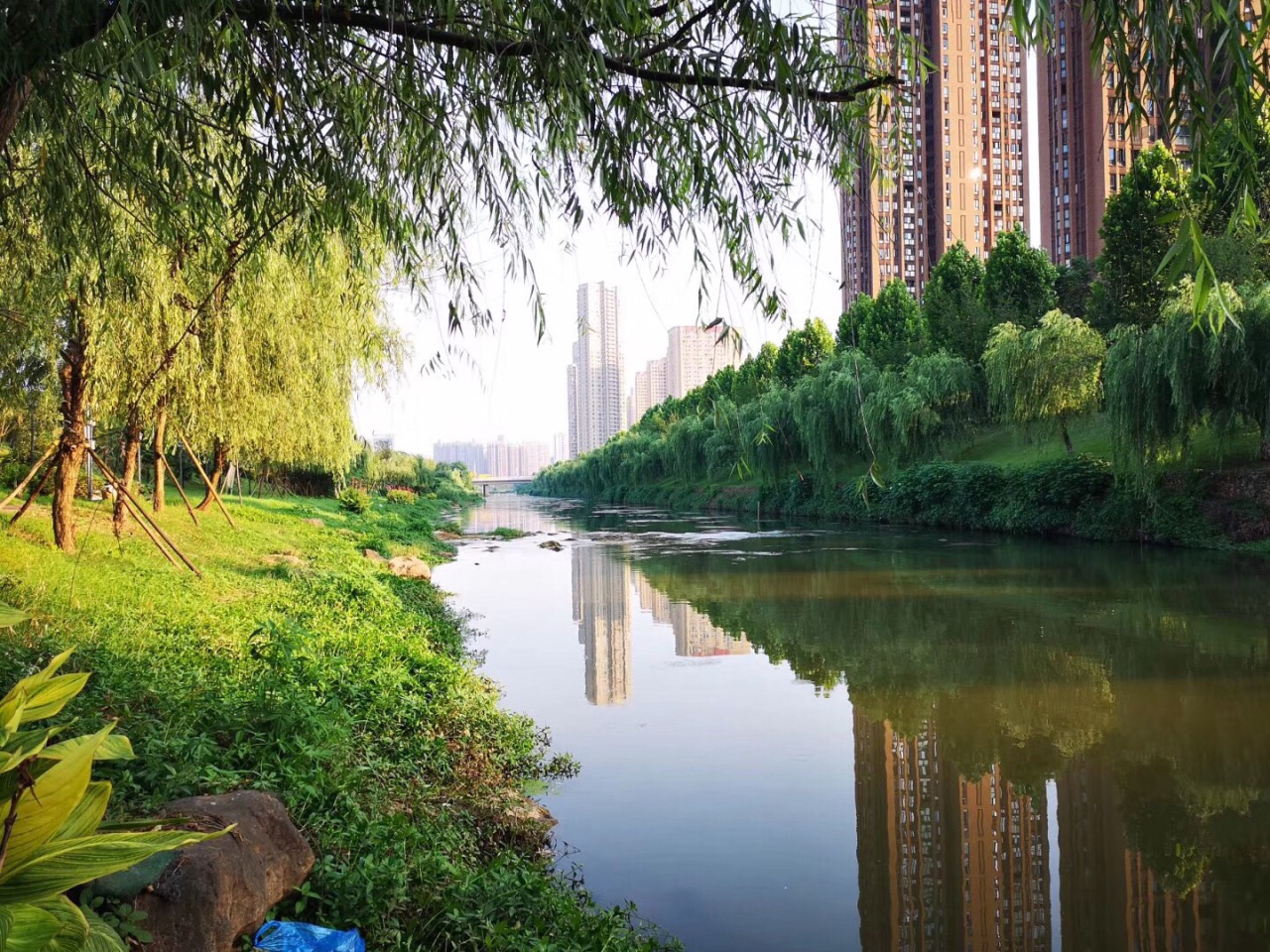深圳市南山区西丽生态公园_艾景奖2024官方网站——第14届中国国际园林景观规划设计大赛即将启动
