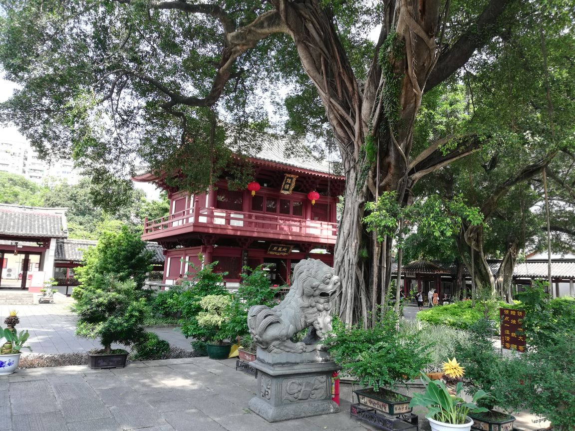 2019光孝寺游玩攻略,据《光孝寺志》,光孝寺原为. 【去哪儿攻略】