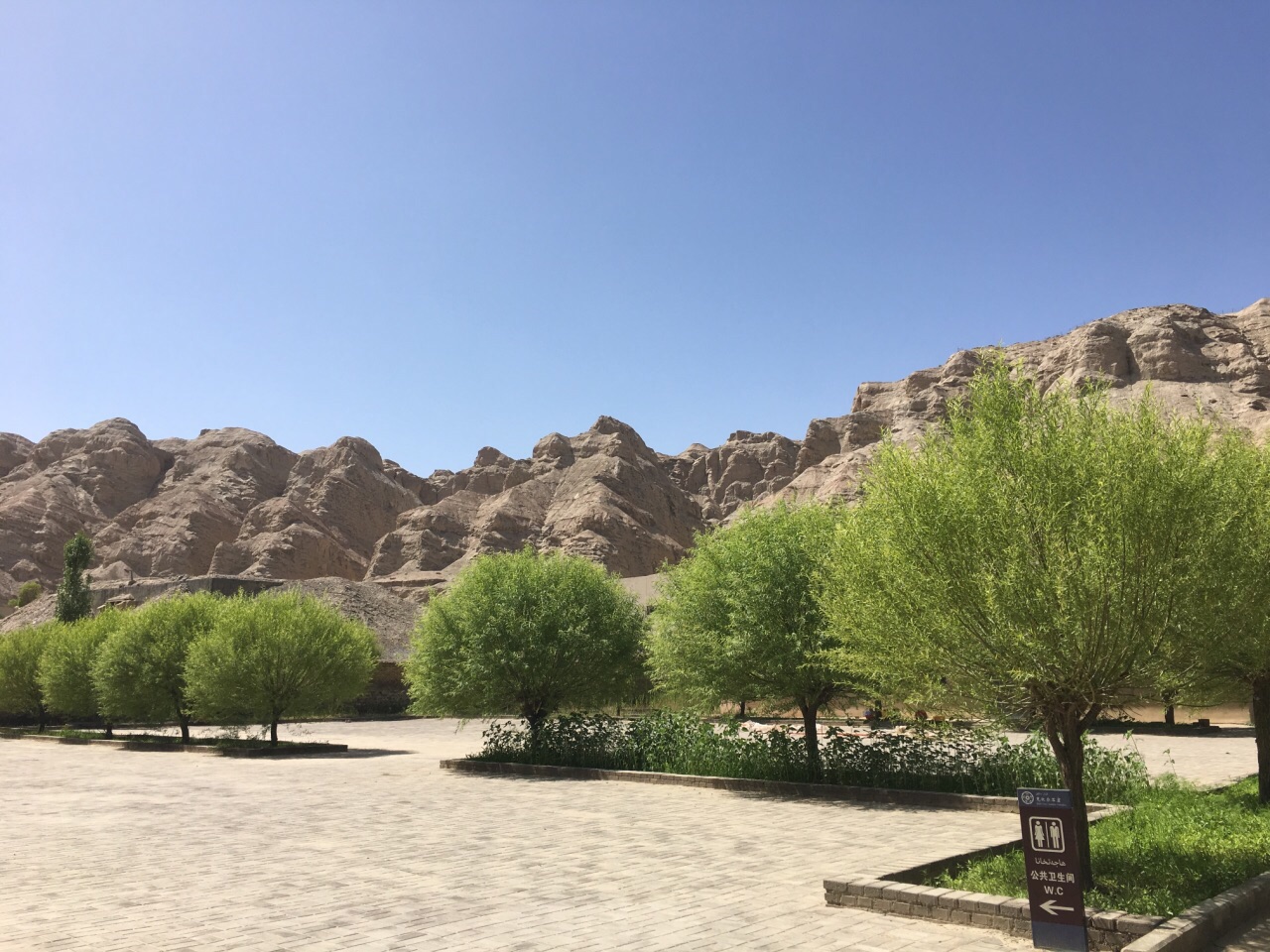 库车龟兹生态园好玩吗,库车龟兹生态园景点怎么样_点评_评价【携程