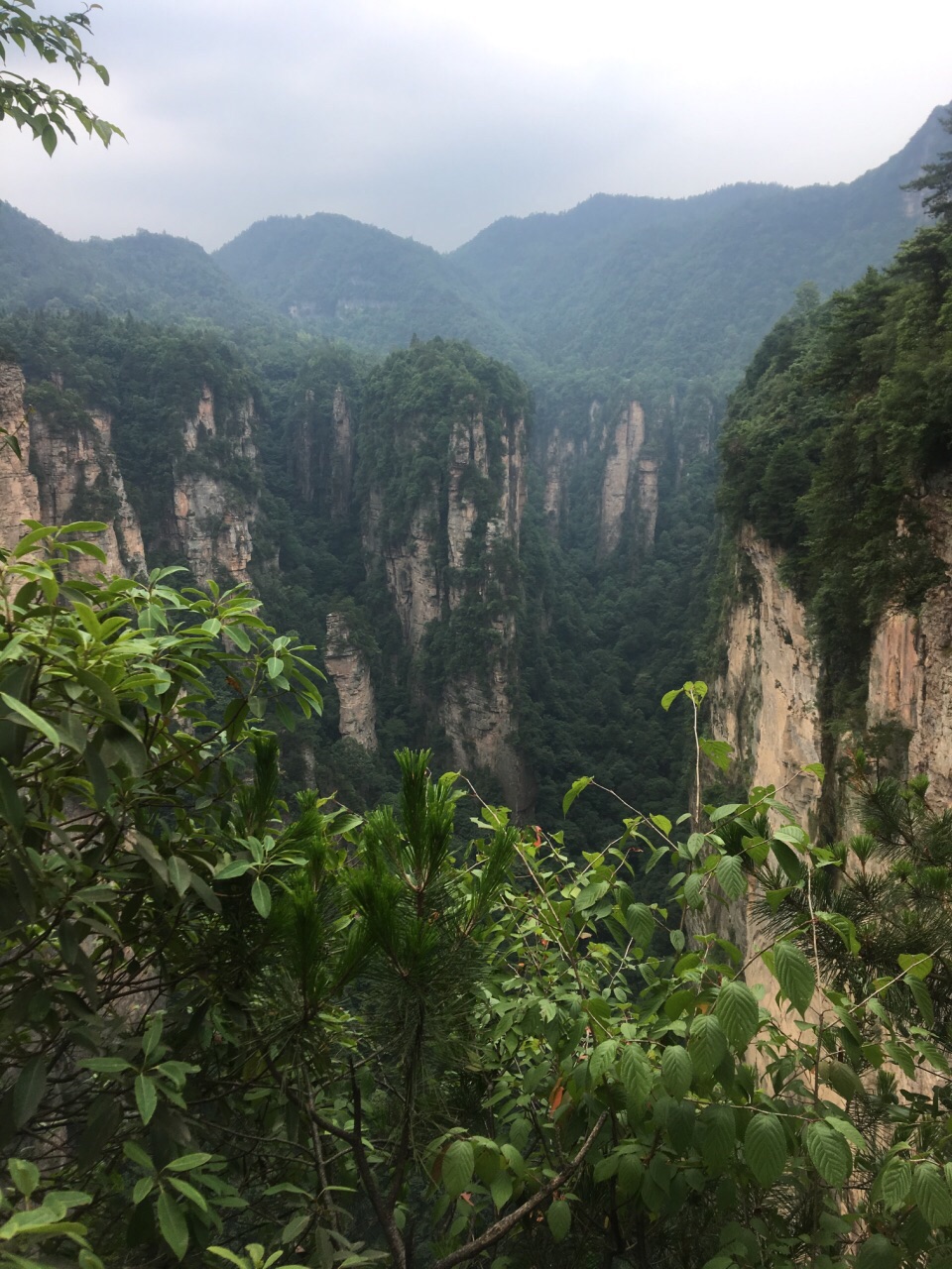 2018袁家界_旅遊攻略_門票_地址_遊記點評,武陵源旅遊景點推薦 - 去