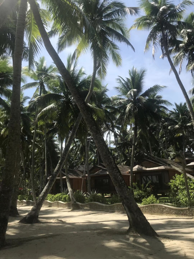 中旬海南东线全家自驾游海口,文昌,万宁,陵水,三