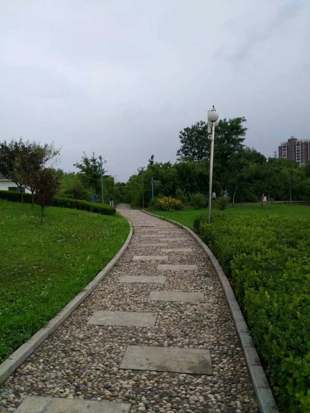 运河亚运公园工程（原城西公园）-杭州大地科技有限公司