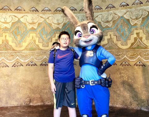 2019探险岛门票,上海迪士尼度假区探险岛游玩