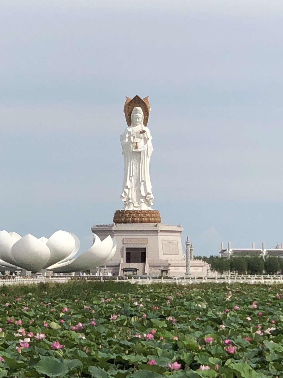 呼兰河口湿地风景区