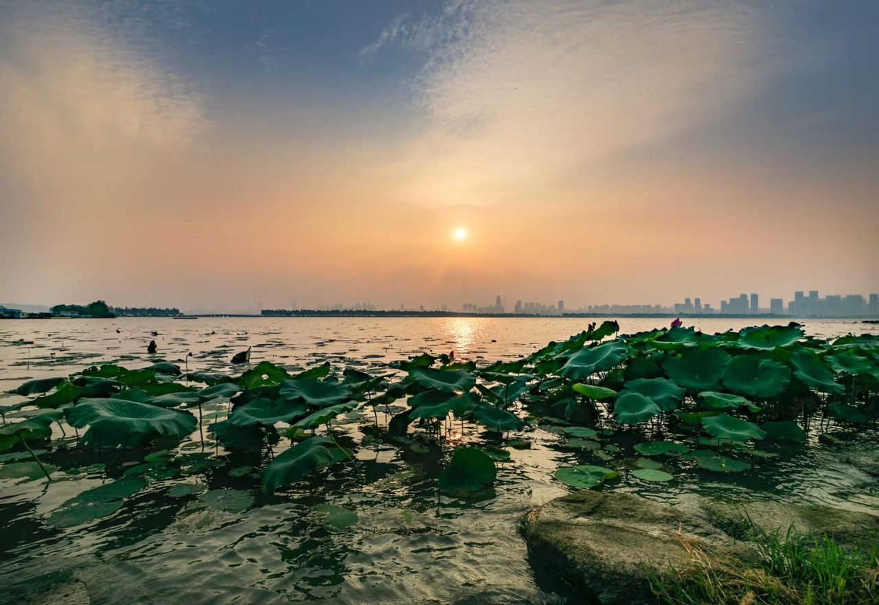 武汉东湖樱园高清图片下载-正版图片500854225-摄图网