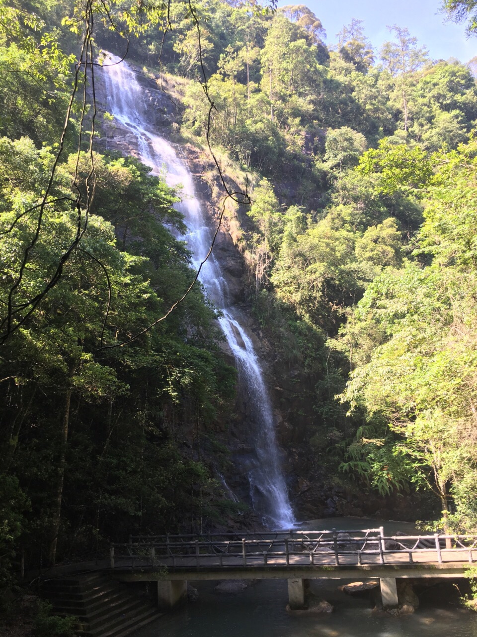 九龙省级森林公园图片