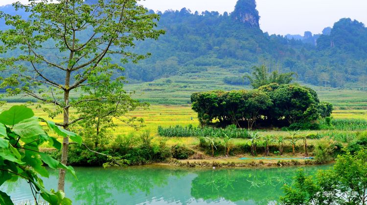 巴马龙洪自然风景区攻略-龙洪自然风景区门票价格多少钱-团购票价预定