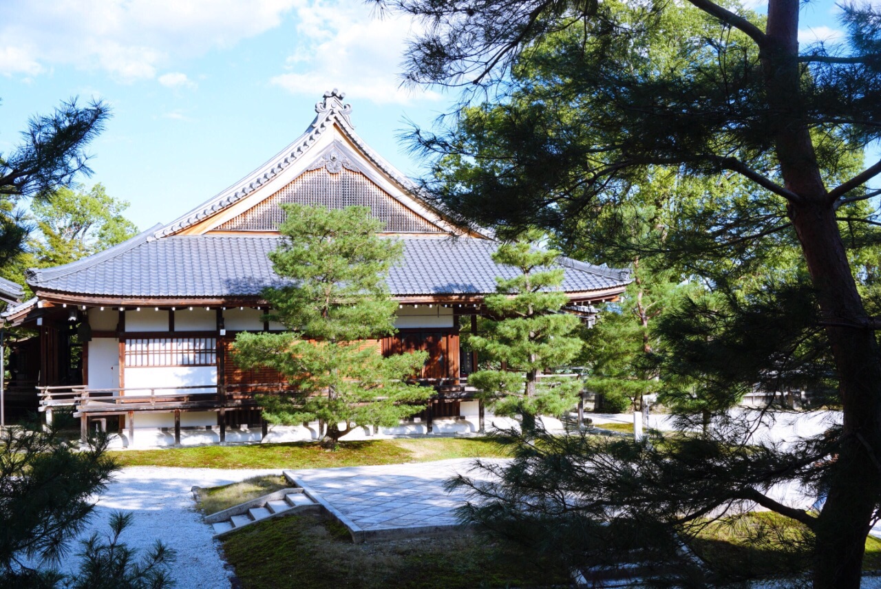 京都大觉寺图片