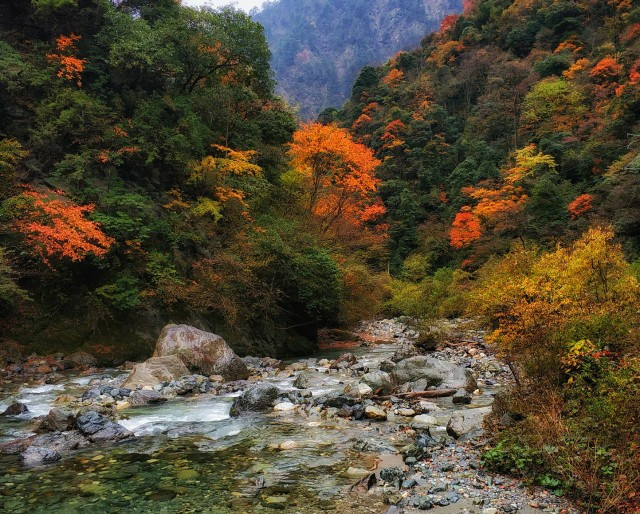 四川雅安大川镇之三南天门景区 大熊猫保护区 携程氢气球