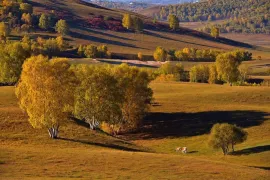 2-Day Zhangjiakou & Bashang Tour: The Spectacular Dajingmen, Vast Bashang Grassland