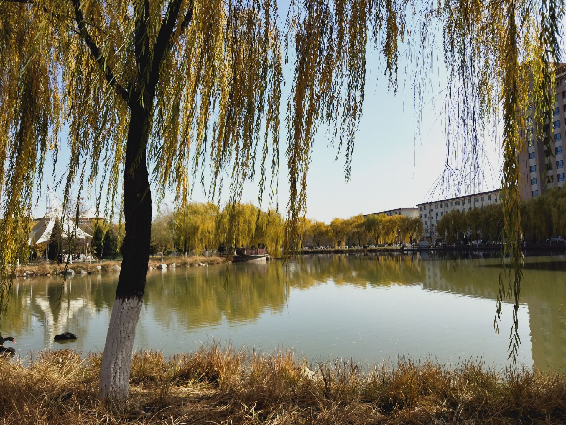 北方民族大学 风景图片