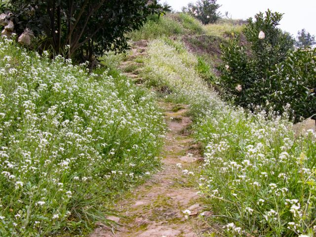 樱桃山旅游景区