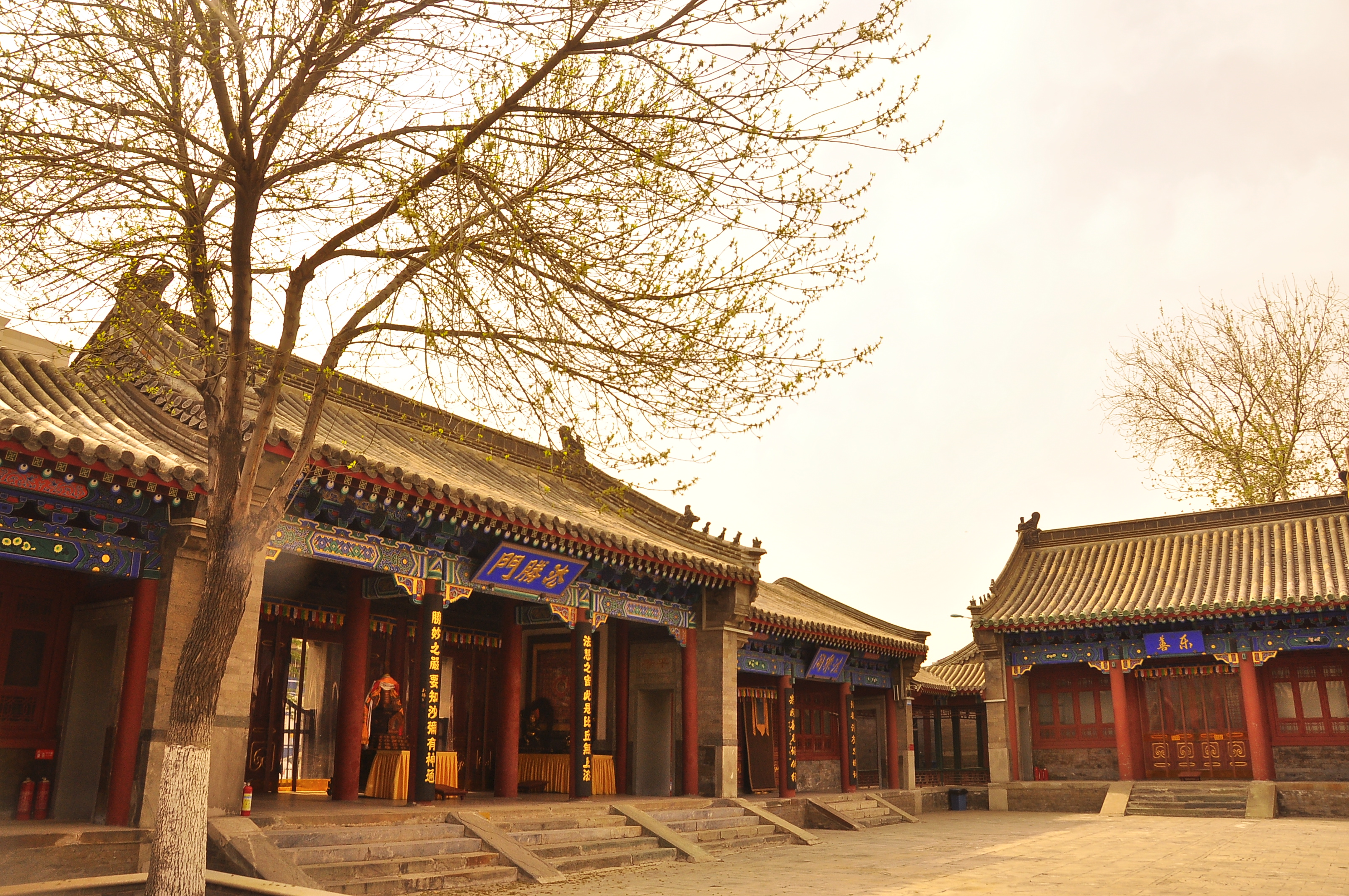 乐善妙觉院位于天津庄王府院内,该建筑群始建于1923年前后,由三道四合