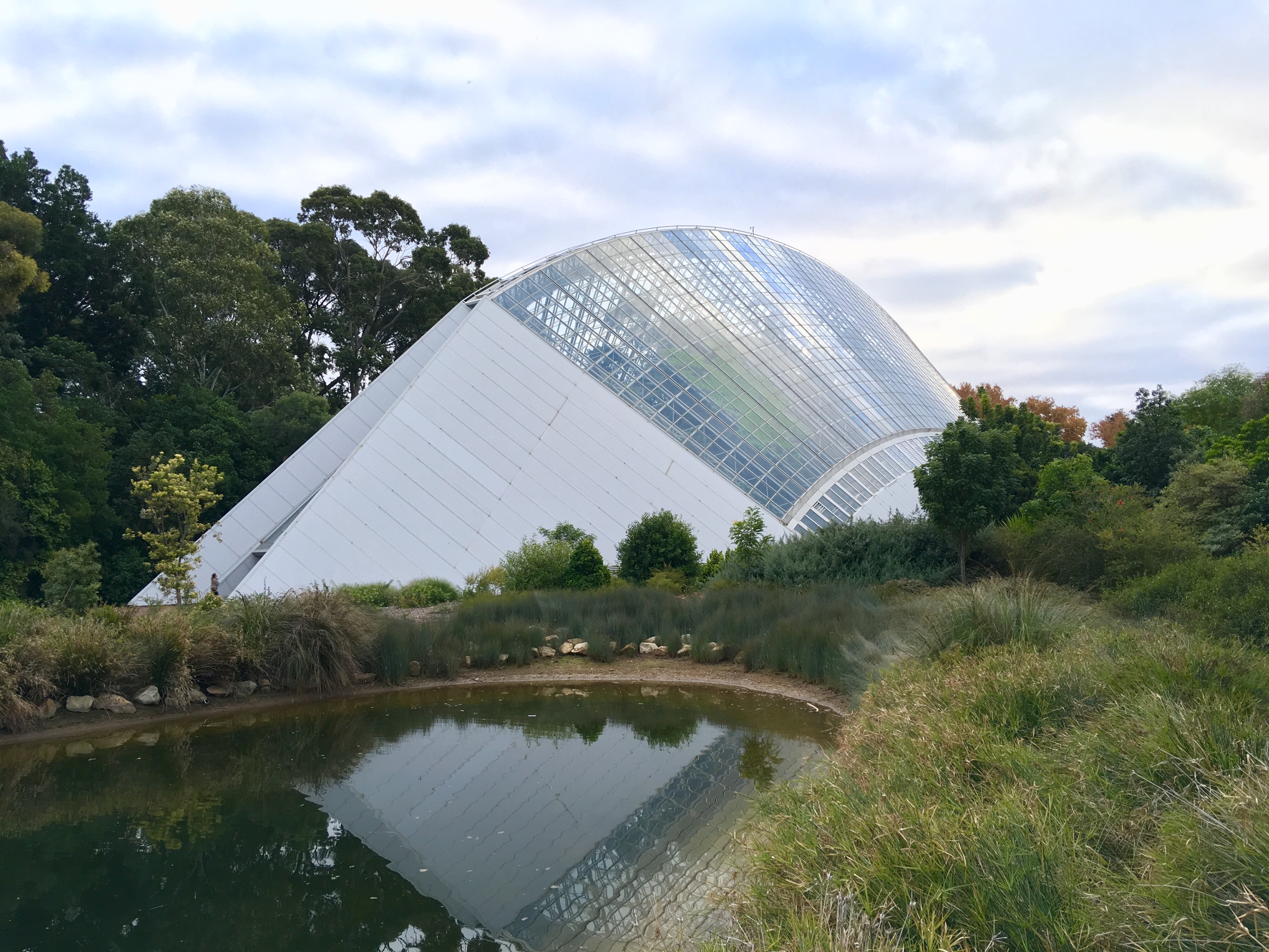 阿德莱德植物园