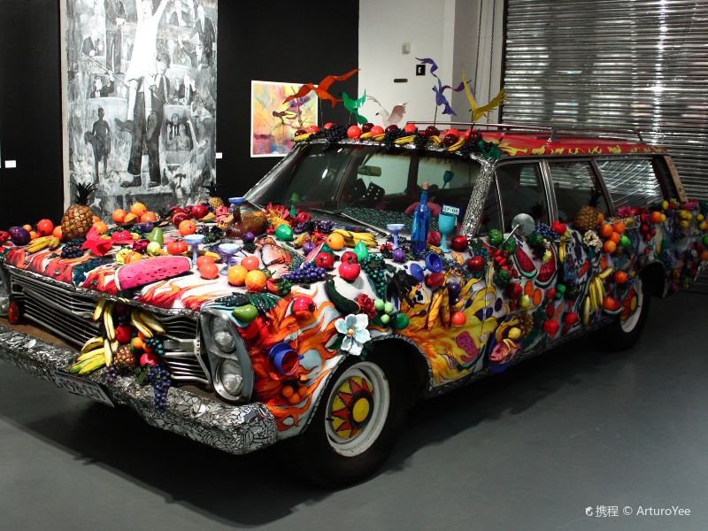 "很好奇汽车如何与艺术结合" 1/ 18 艺术汽车博物馆 art car museum