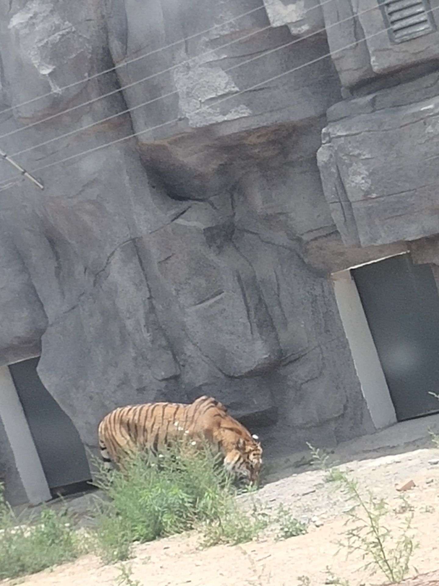 邯郸佛山野生动物园