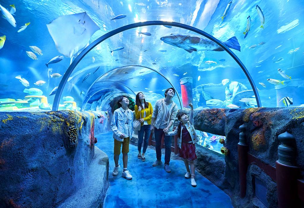 冲绳美丽海水族馆