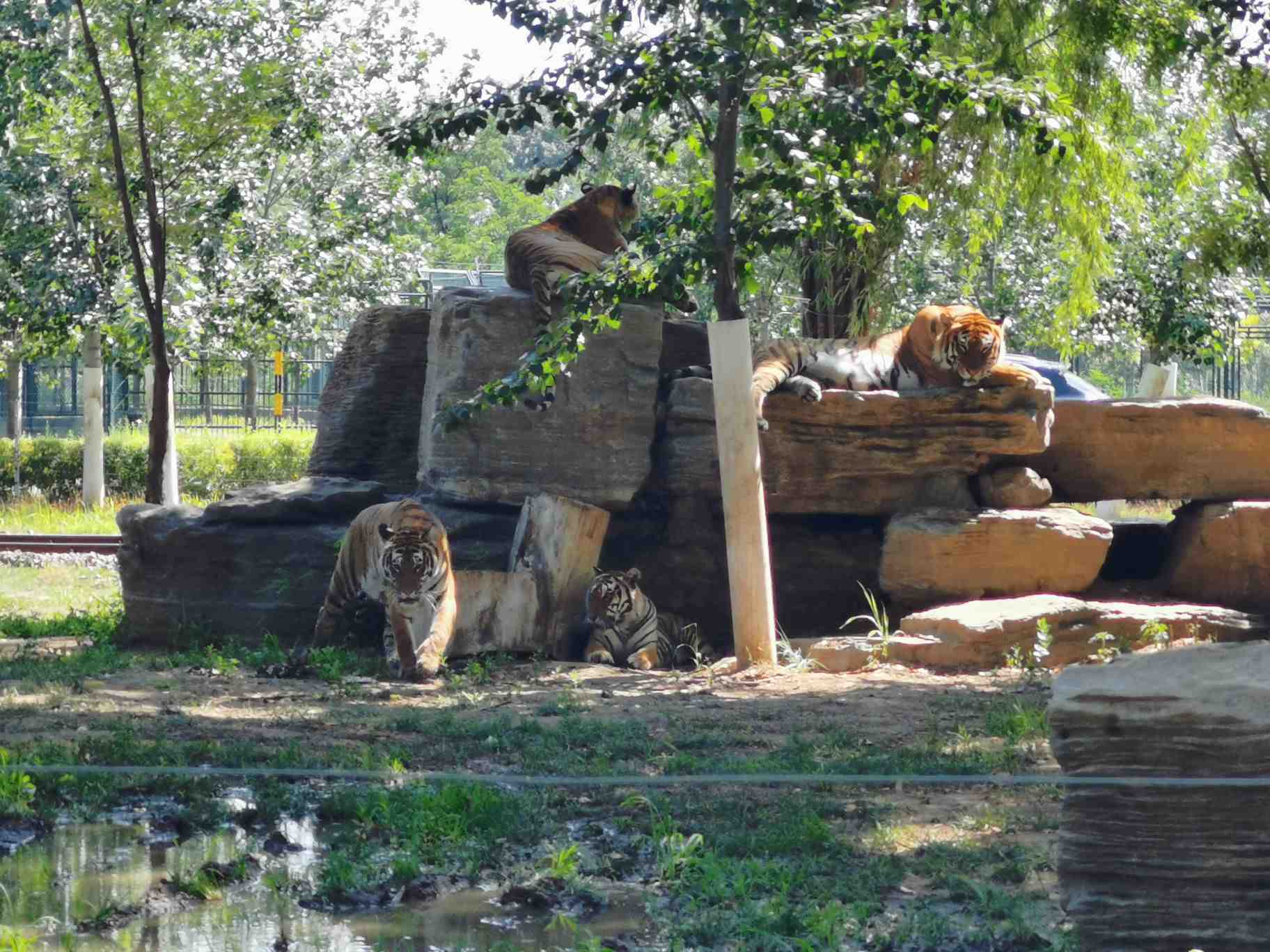 秦皇島野生動物園