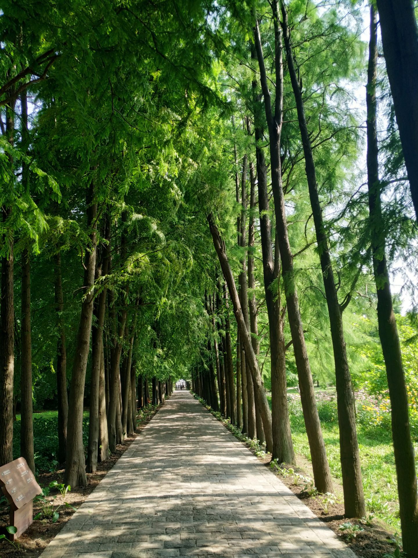 上海宝山滨江岸线的生态化与市民化转型-大观-滨水案例-筑龙园林景观论坛