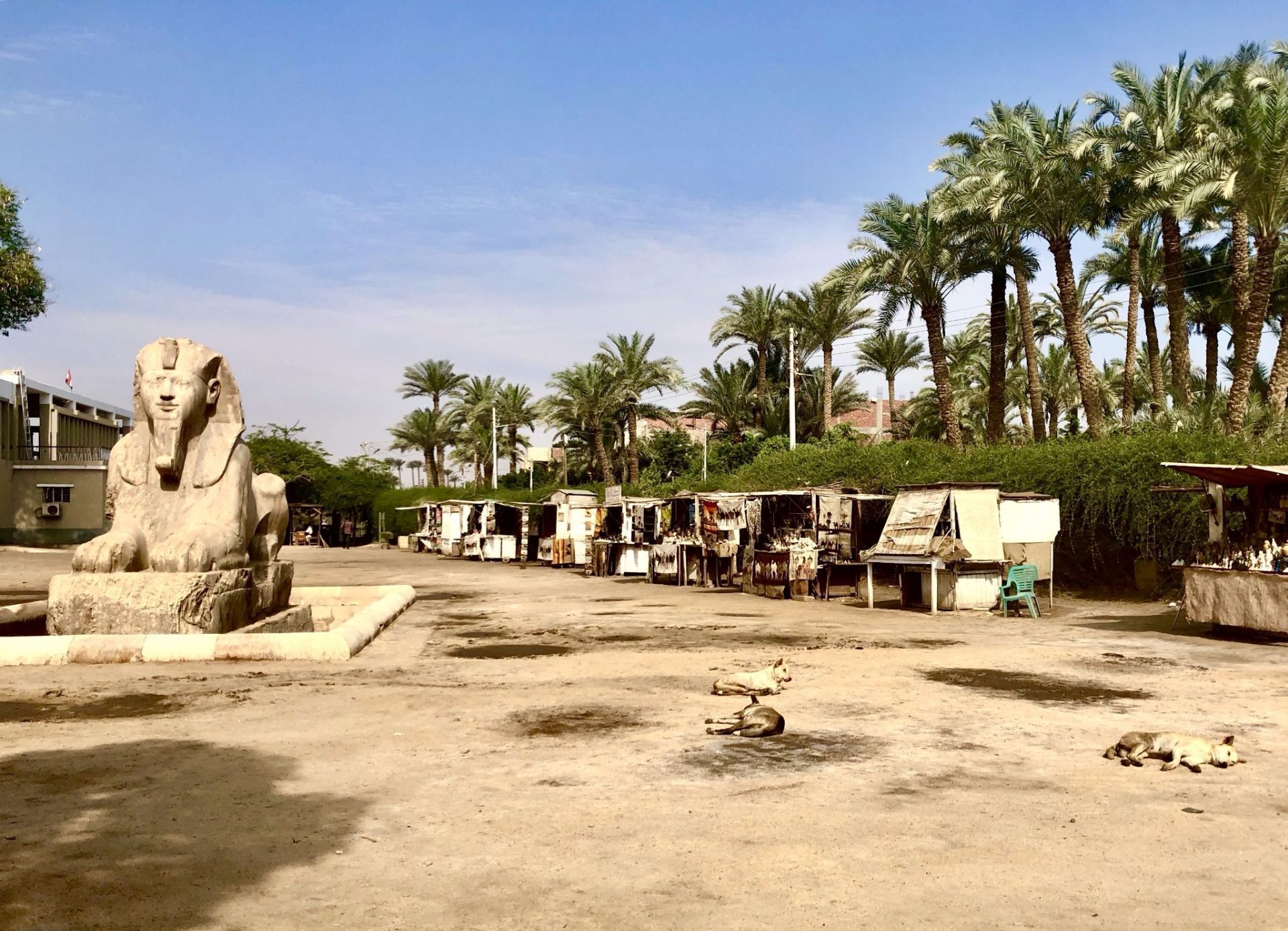 2022孟菲斯博物馆游玩攻略,孟菲斯博物馆位于开罗西南32...【去哪儿攻略】