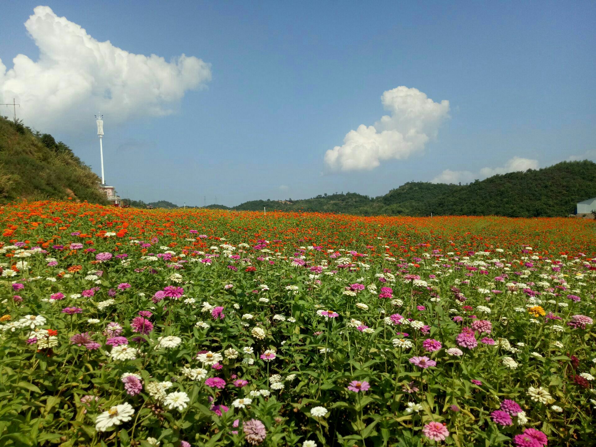 2021五尖山國家森林公園遊玩攻略,.邊吃住行都非常方便,107.