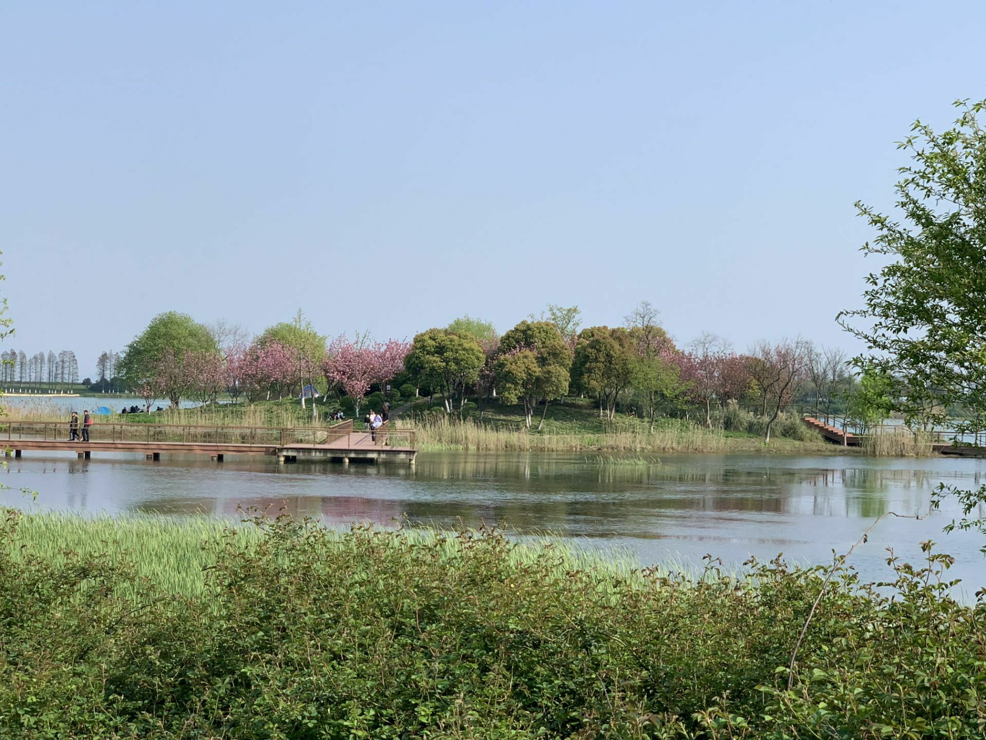 秋湖湿地公园