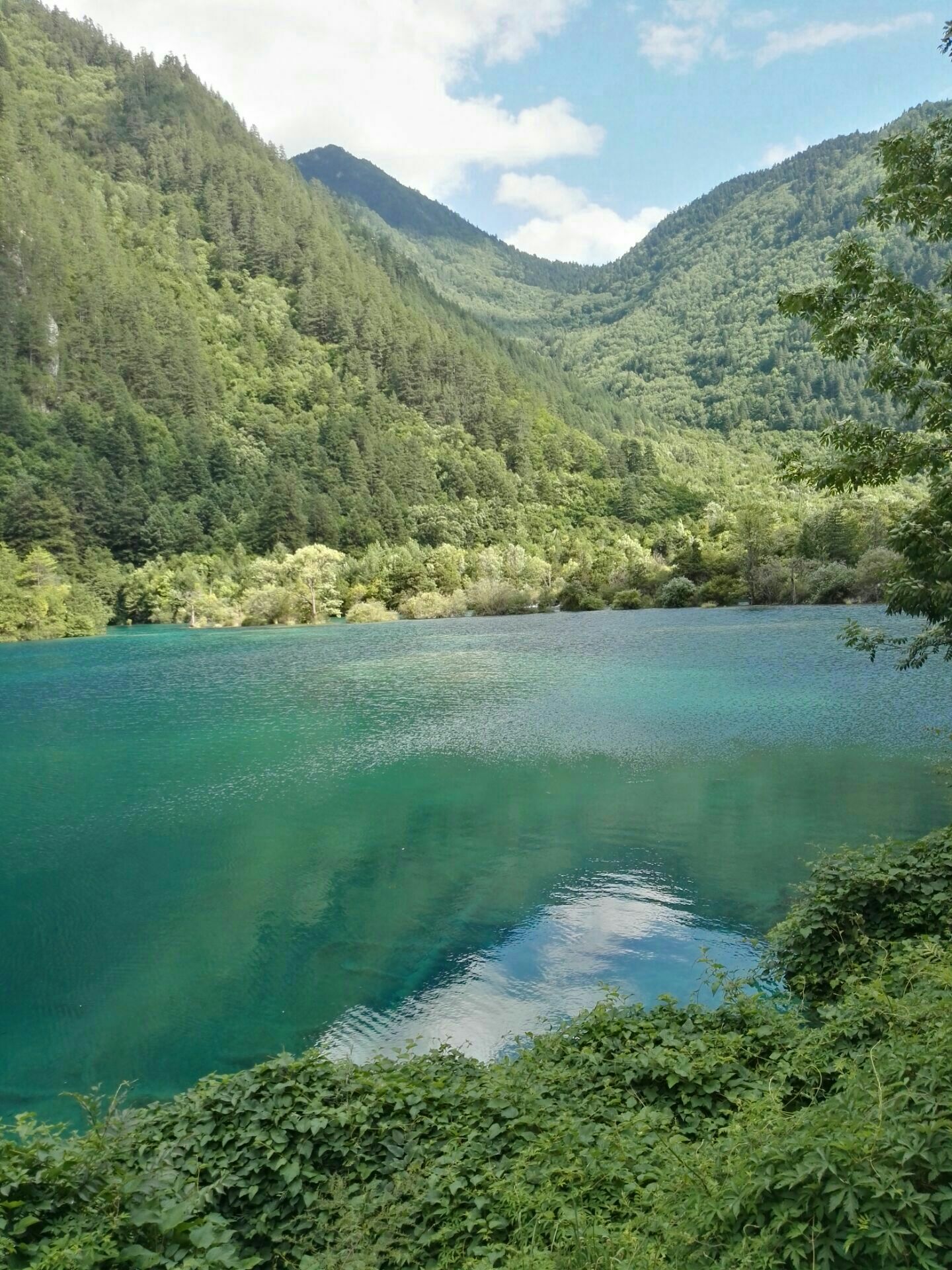 九寨沟风景名胜区火花海景观:又称火花池,水深9米,海拔2187米