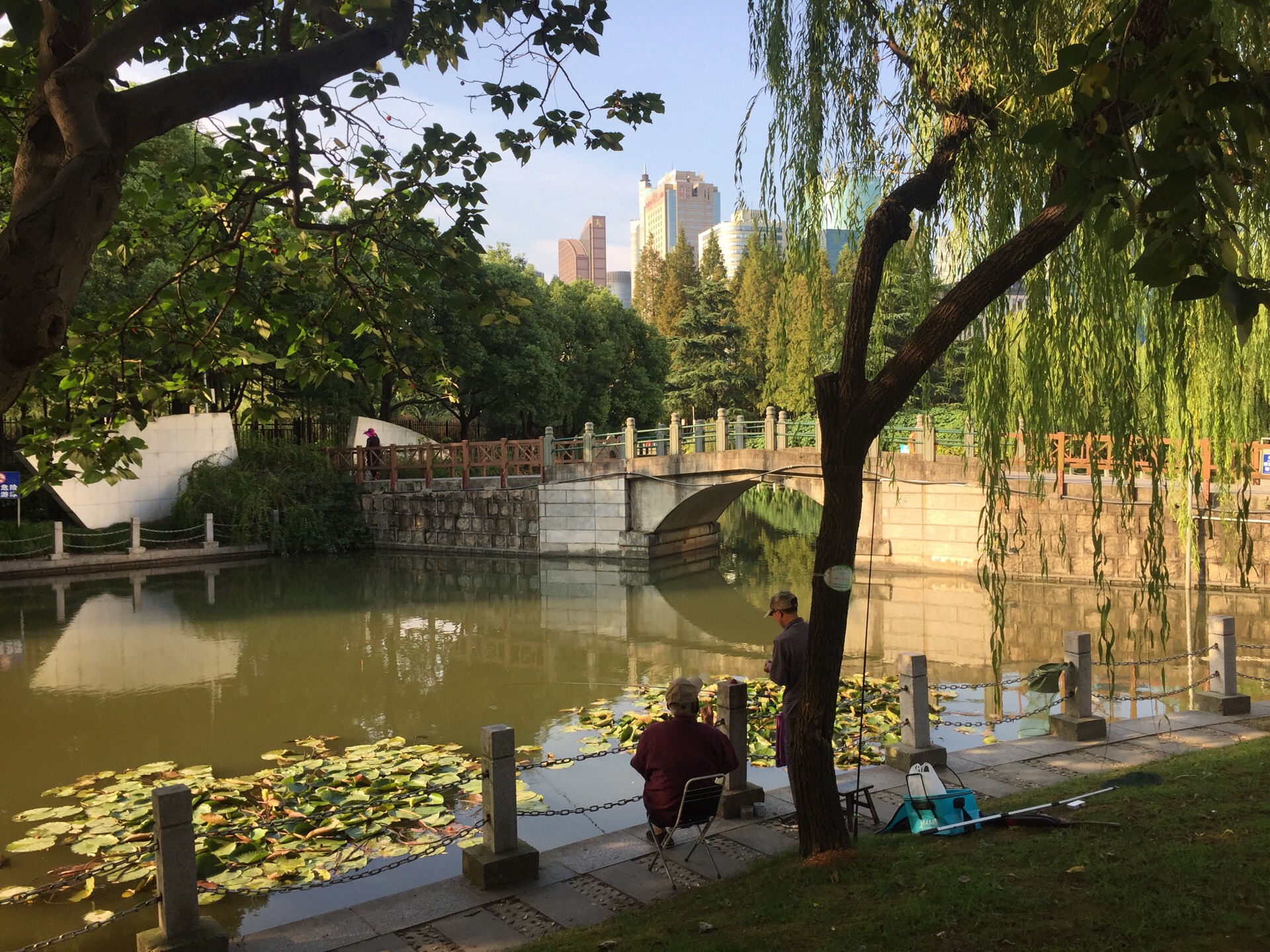 上海塘桥公园图片