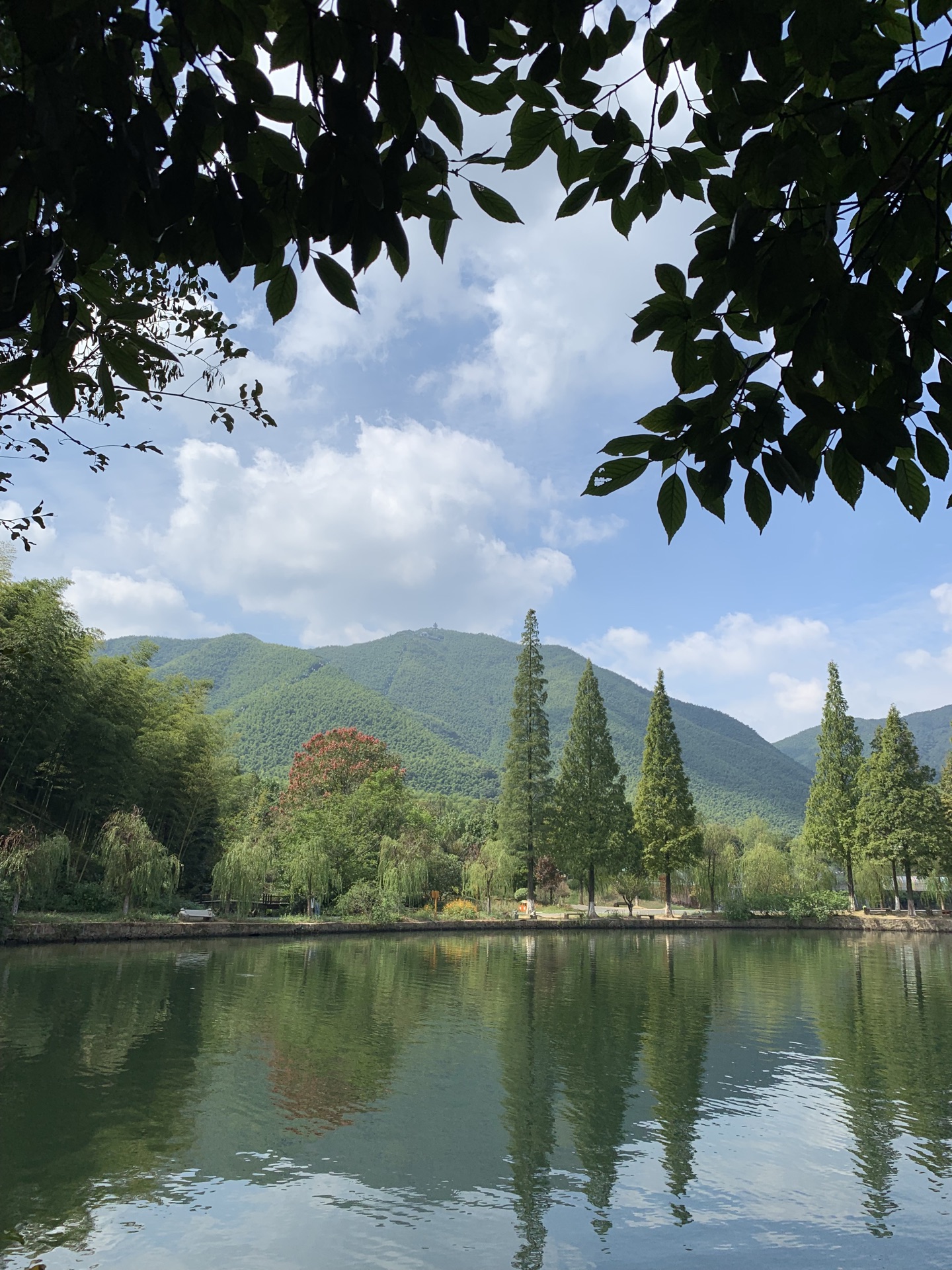 宜兴竹海旅游景点攻略图