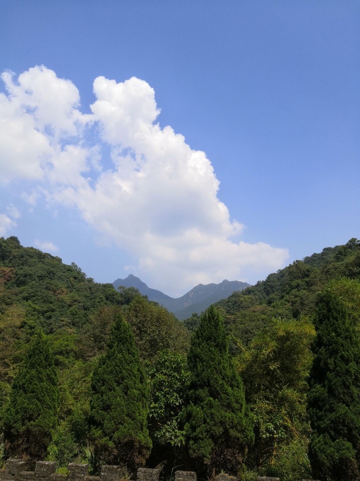 清远观音山王山寺风景区好玩吗,清远观音山王山寺风景区景点怎么样