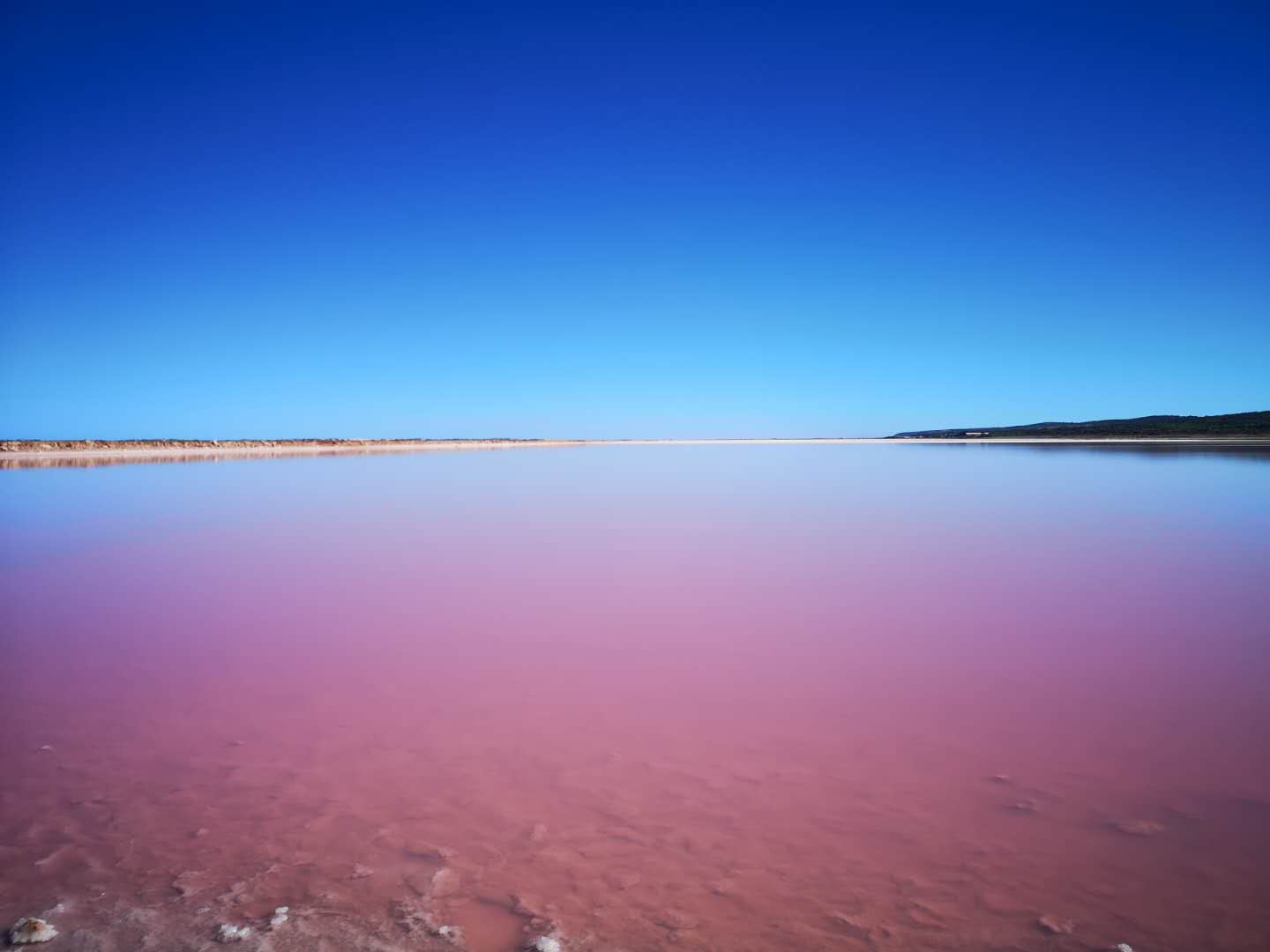 2022粉色湖泊游玩攻略,卡尔巴里的粉红湖是一处十分...【去哪儿攻略】