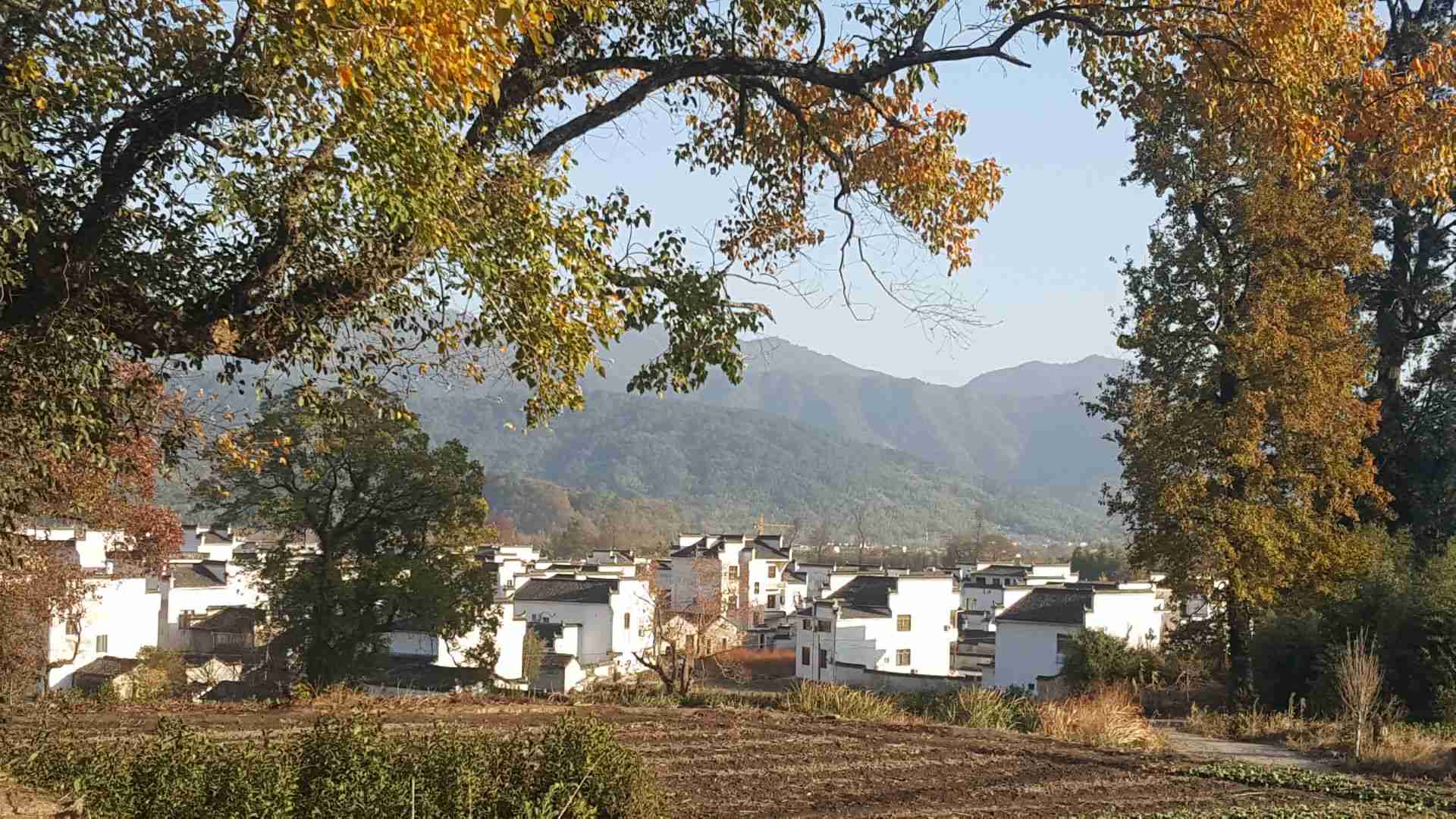 宏村盧村好玩嗎,宏村盧村景點怎麼樣_點評_評價【攜程攻略】